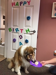 Rev 12th BD 1 Rev 12th BD 1